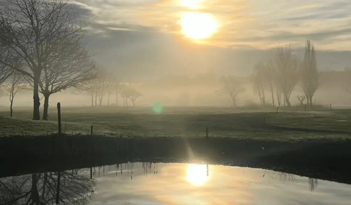 Golden hour over the course
