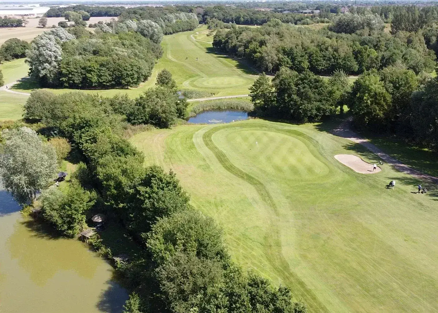 Tree-lined fairway