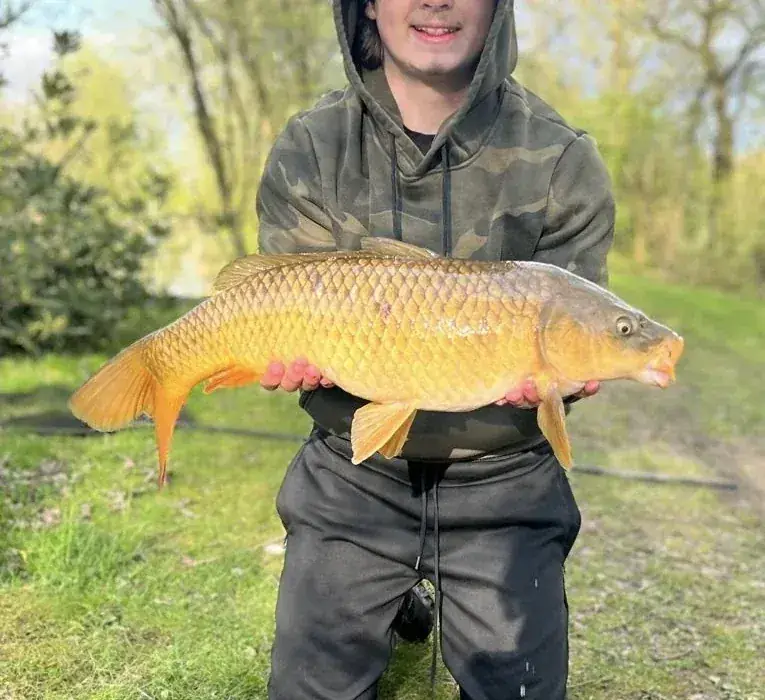 Angler holding a common carp